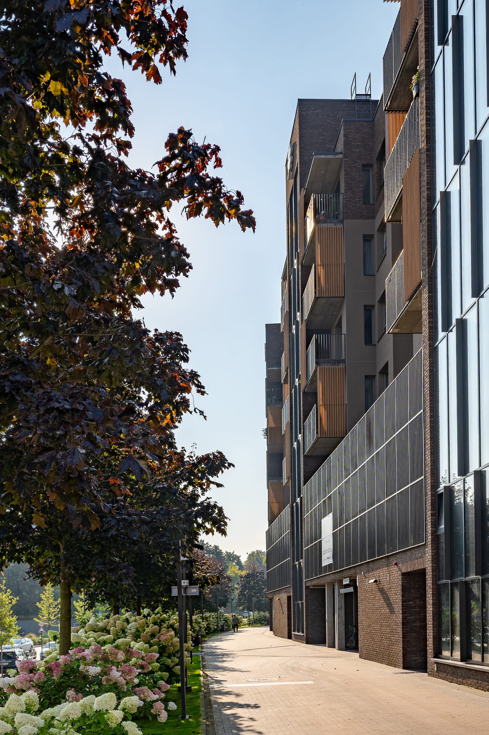 The street side of the Vilnius building by SAVO: brick and timber balconies, a paved walkway and hydrangeas along it